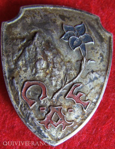Sk984 insigne ski - insigne,