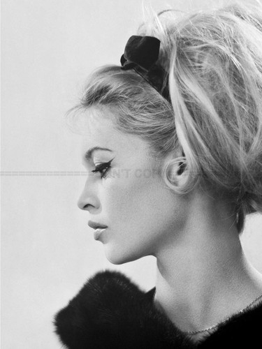 Photo brigitte bardot - photo,
