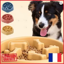 Gamelle Anti-Glouton pour Chien – Slow Feeder, Antidérapante & Durable