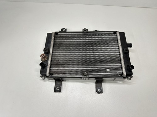 Radiateur sym gts - sym, 125