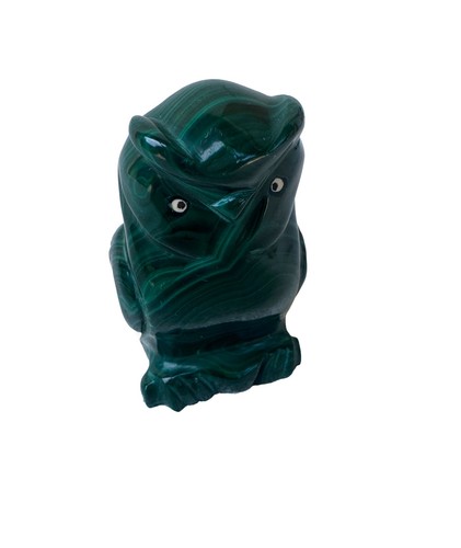 Hibou malachite des années - en,