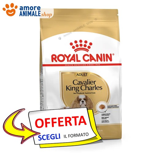 Royal canin chien - canin,