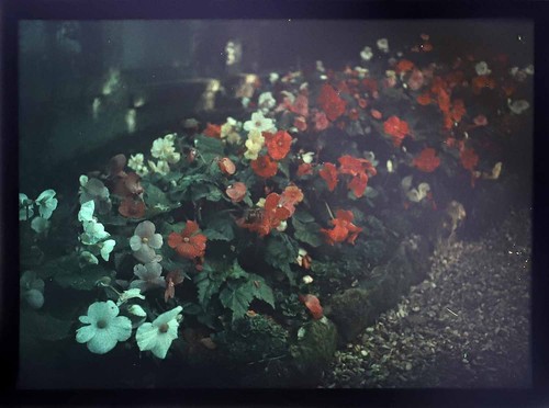 Lumiere photographie - lumiere,
