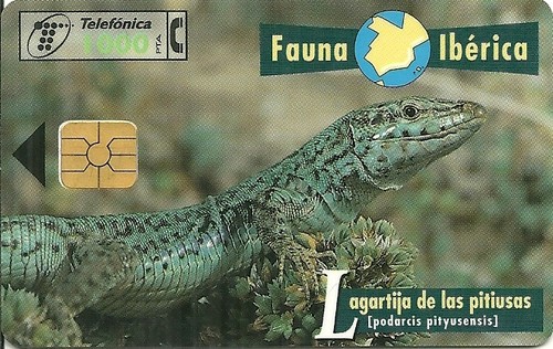 Rare carte telephonique - rare,