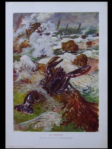 Felix bracquemond homard - le,
