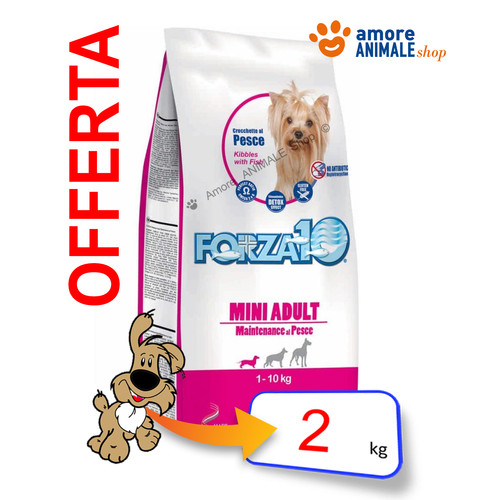 Forza10 chien maintenance - maintenance, →