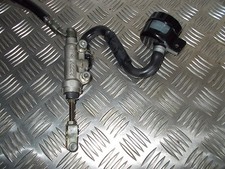 Kawasaki 1100 ZRX . Maitre