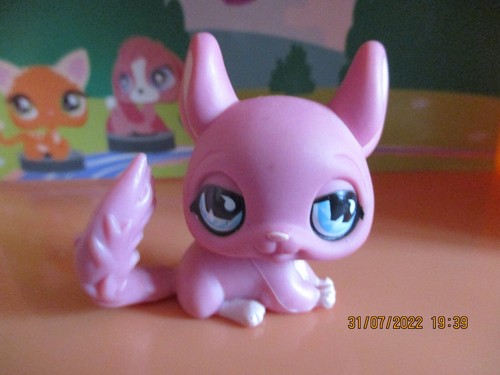 Petshop chinchilla 599 - petshop, #599