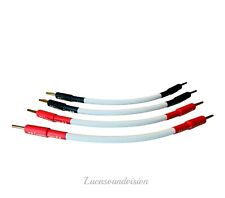 Câble cavalier Chord Carnival Speaker Links