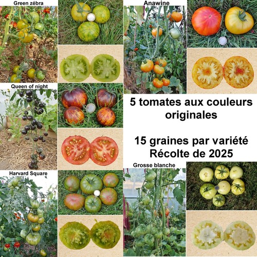 Graines 5 variétés de - 75,
