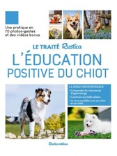 L'éducation positive Du Chiot