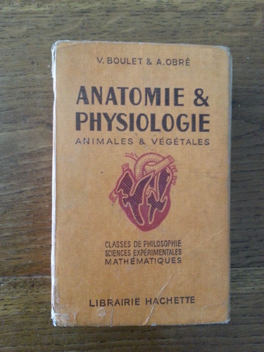 Boulet obré anatomie - obré,