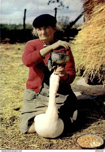 Carte postale folklore - carte,