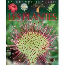 Livre Les Plantes