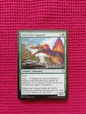 Lot N341 19 cartes magic the