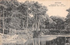 35 ROTHENEUF BAIN DU LUPIN