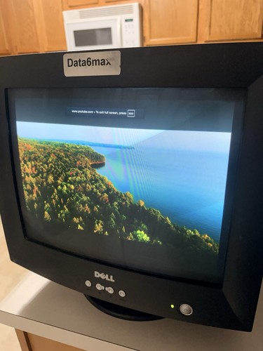 Dell e773c crt - 17",
