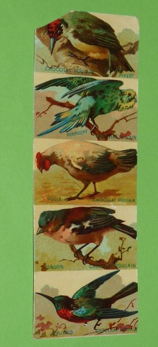 Chromos 1885 1895 - chromos, 1885-1895