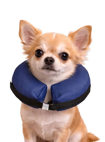 Collier gonflable pour chien - gonflable,