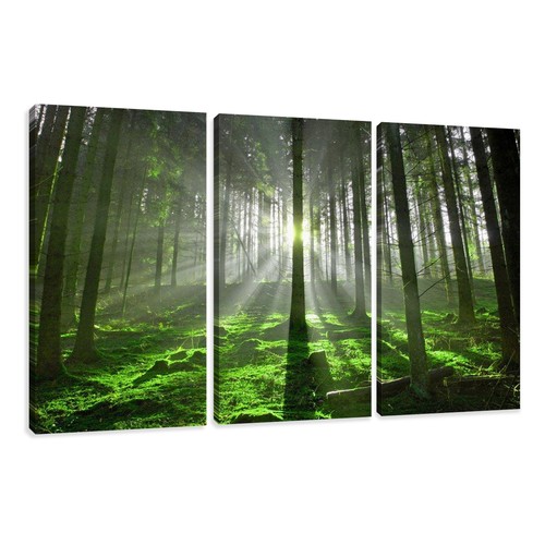 Images sur toile - 90, cm