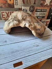 Decoration Terrarium