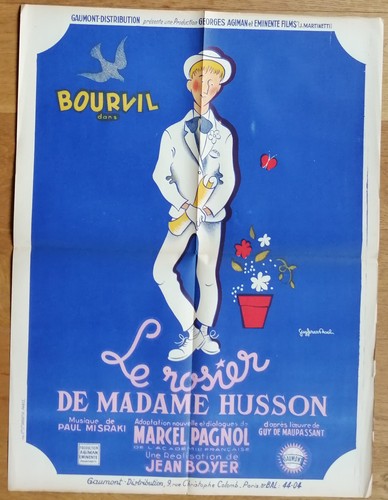 Rosier madame husson - rosier,