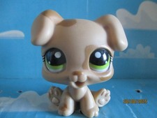 PETSHOP PUPPY / DOG N°1353