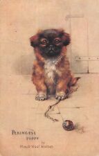 Postcard fantasy / dog / pekingese puppy