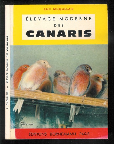 Luc gicquelais elevage - gicquelais, :