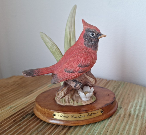 Superbe oiseau cardinal - oiseau, en