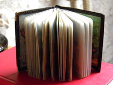 LOT OF 24 RELIGIOUS MEDAL CARDS WITH PRAYERS ON THE FRONT IN A CARD HOLDER