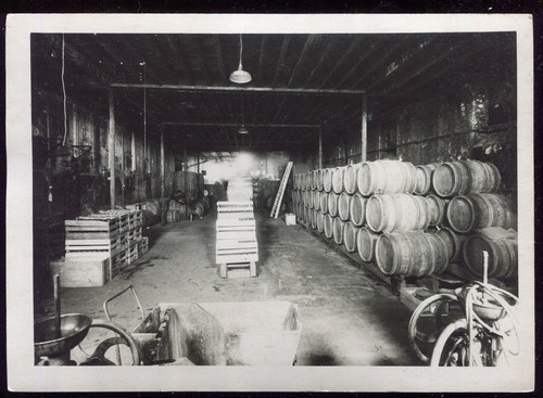 Photo ancienne cave vin - ancienne,