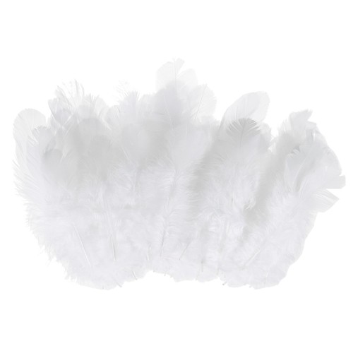 Plumes pour crafts 600 - , pièces