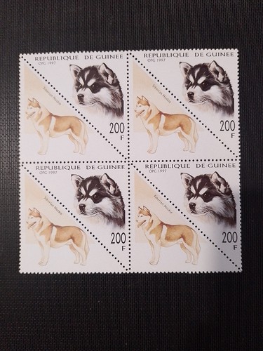 Guinée 200fx4 husky huskies - husky,