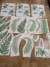 Tatouage Ferns And Flowers 12 Dry rub Transfer