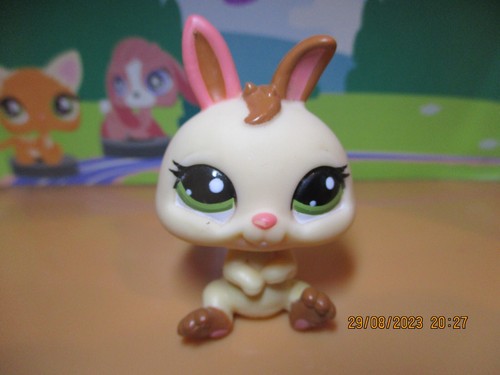 Petshop lapin nain 1596 - petshop,