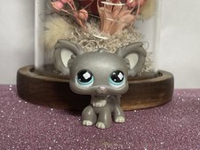 🌸Petshop Chien Papillon