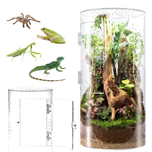 Terrarium cylindrique - terrarium,