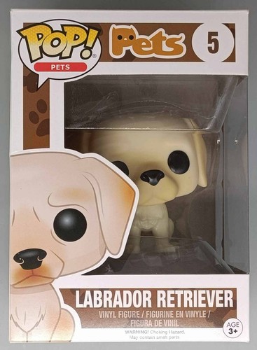 Labrador retriever - retriever, (golden)