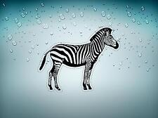 Autocollant sticker voiture