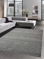 Modern tapis carpette du salon