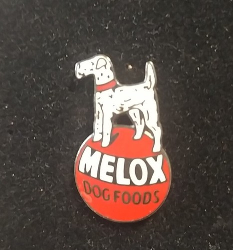 Rare pin pins demons - pin's, et