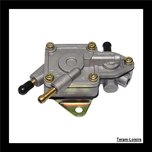 Pompe essence pour polaris - essence,