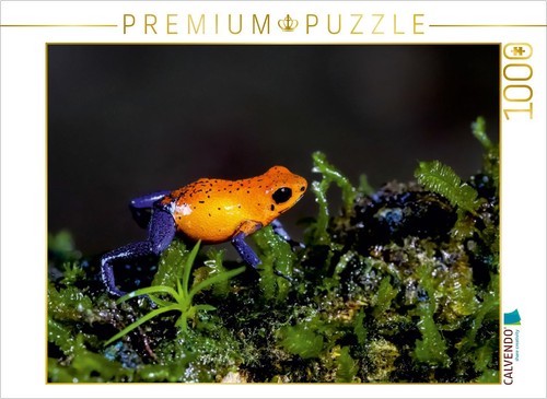 Calvendo puzzle erdbeerfrosch - calvendo,