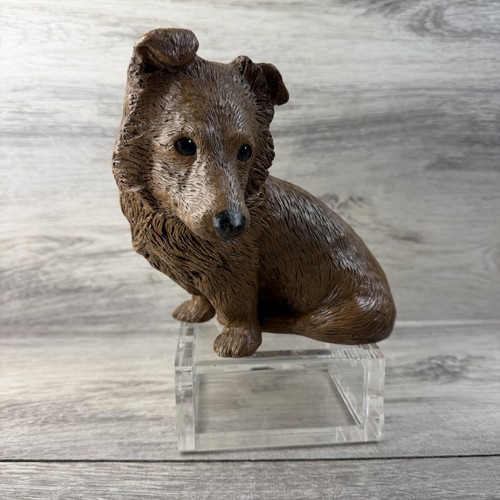 Border collie dog - border, cast