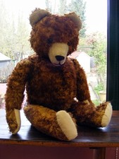 Cyriel ours ancien Allemand