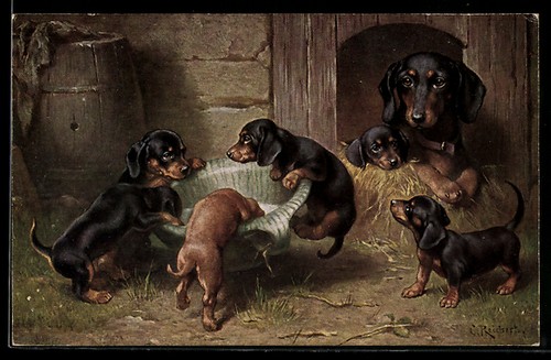 Carte postale artiste - postale, carl