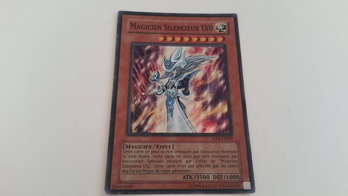 Magicien silencieux lv8 ntr - magicien,