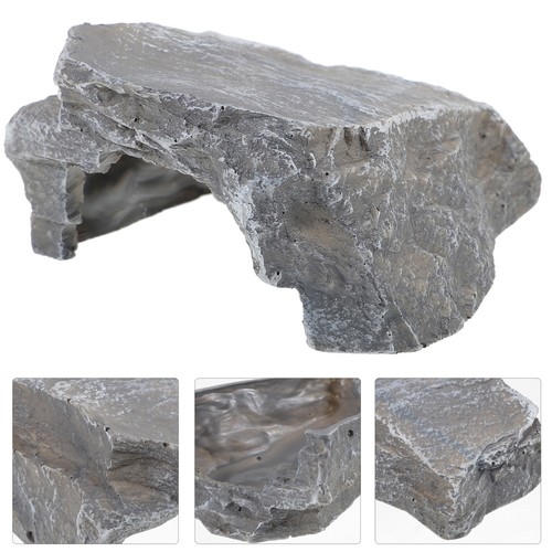 Accessoire pour terrarium - pour, fond