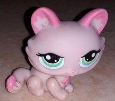 Petshop chat sphynx 1345